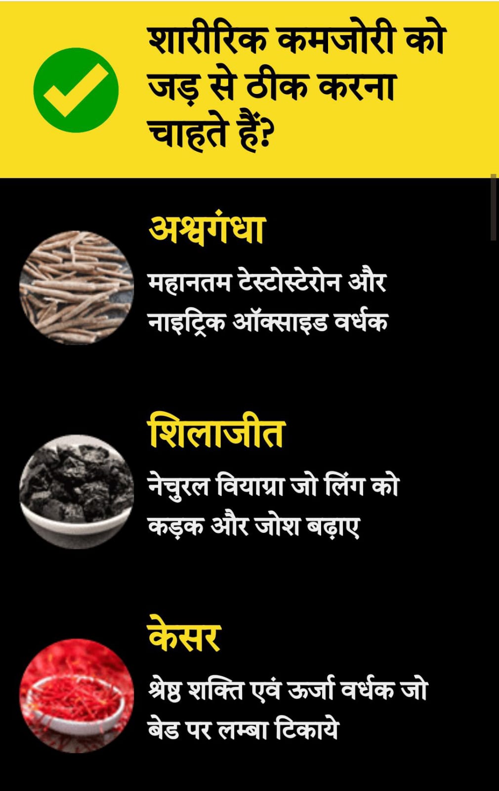 WhatsApp Image 2024-12-20 at 3.11.05 PM