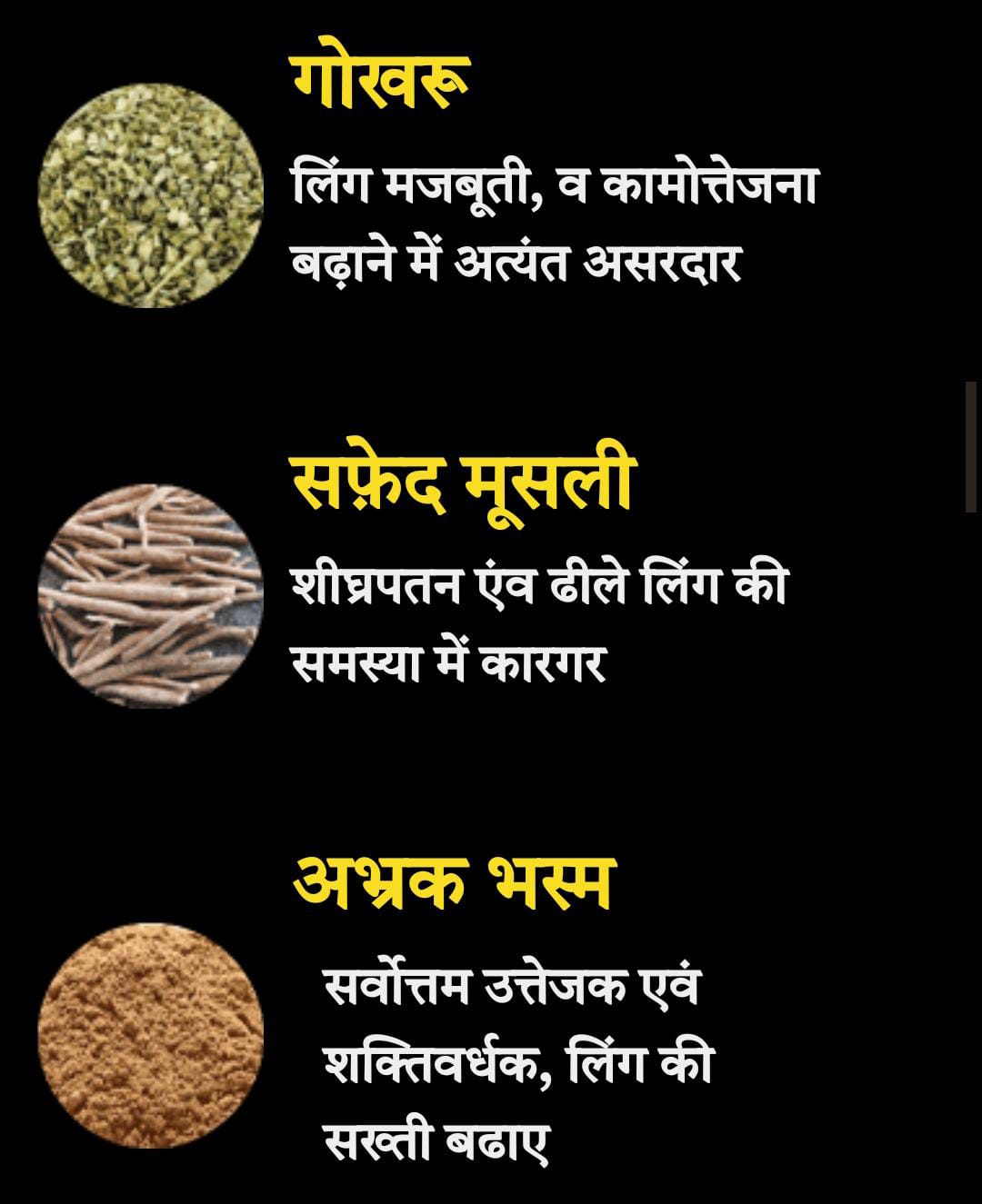 WhatsApp Image 2024-12-20 at 3.11.31 PM