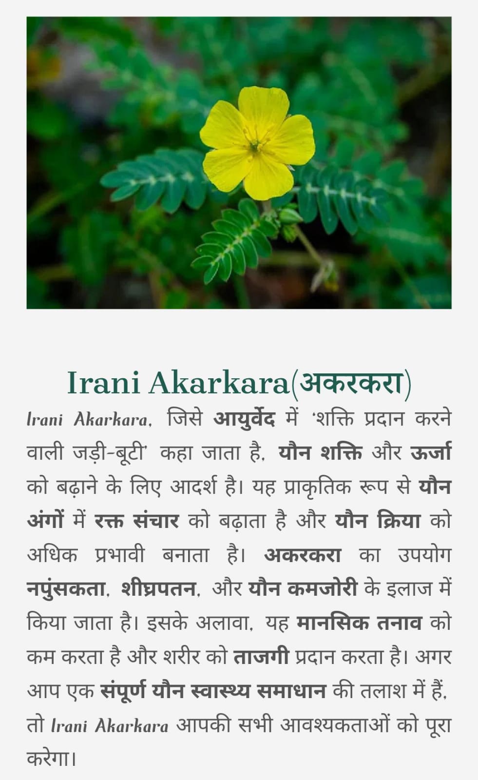 WhatsApp Image 2025-01-24 at 12.55.58 PM