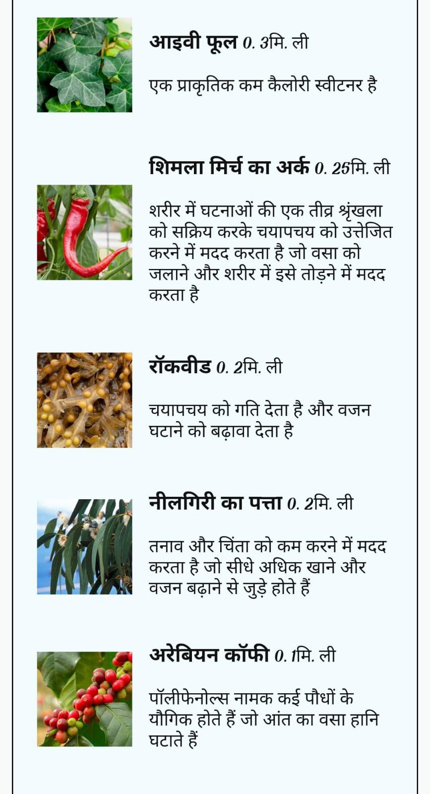 WhatsApp Image 2025-02-08 at 11.42.49 AM